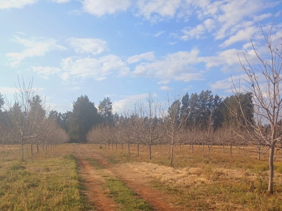 6 Bedroom Property for Sale in Hartswater Northern Cape